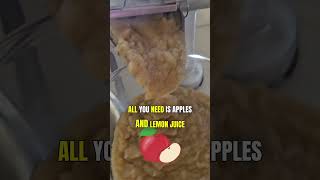 Making Our Homemade Applesauce recipe in description [upl. by Ameekahs876]