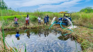 Pond Water Fish Catching and Cooking Fish Gravy in our Village  Country Fishing [upl. by Neleh547]