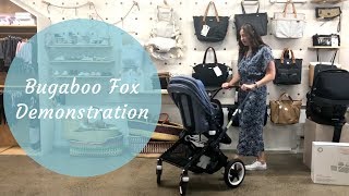 Bugaboo Fox Demonstration [upl. by Win998]