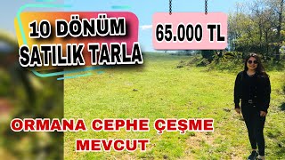 SATILDI Kayapınarda 10 Dönüm Yolu Suyu Mevcut Köye Yakın Ormana Cephe Tarla 65000TL [upl. by Beck]