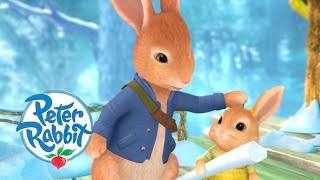 Peter Rabbit  Brotherly Love  Cartoons for Kids [upl. by Oisinoid726]