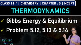 Class 11th Chemistry  Gibbs Energy Change amp Equilibrium  Problem 512 513 amp 514  Chapter 5 [upl. by Edaj332]