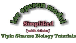 Regulation of gene expression lac operon concept  simplified for NEET and AIIMS [upl. by Kenney126]