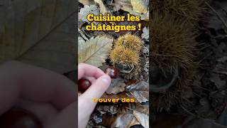 Cuisiner les châtaignes recette  châtaigne recette forêt [upl. by Ellehcir725]