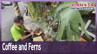 Retired police man finds joy roasting coffee and growing staghorn ferns｜Taiwan News [upl. by Ming]