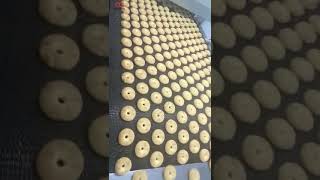 Automatic Oreo Biscuit Making MachineCookie Production Line Cost [upl. by Melinda]