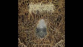 Mortiferum  Disgorged From Psychotic Depths Full Album [upl. by Ashwin]