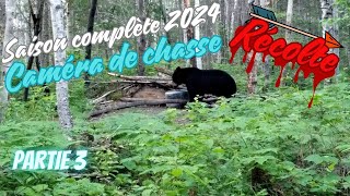 Observation des Ours à lAppât 2024 Préparation pour la Chasse à lArc  Partie 3 [upl. by Laurentia267]