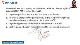 Chemiosmotic coupling  KCET 11th Biology Respiration in Plants [upl. by Mareah927]