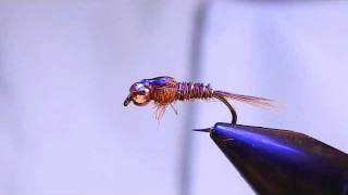 Tying a Pheasant Tail Nymph [upl. by Nahtanaj829]