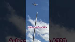 Avianca Airlines a320 flying toward Miami INT’L airplane aviation airbus a320 shorts plane [upl. by Tomas]