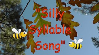 SILLY SYLLABLE SONG [upl. by Landes12]