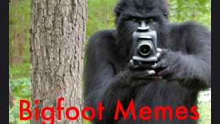 Bigfoot Meme collection [upl. by Jerol396]