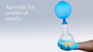 APRENDIENDO con EXPERIMENTOS los CAMBIOS de ESTADO  EduCaixa [upl. by Correna]