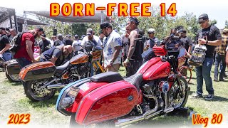 Born Free 14 • Thrashin Supply  Vlog 80 [upl. by Nhojleahcim]