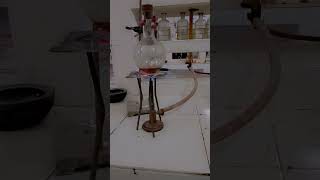 Chemistry practical bsc 2nd year bhojpuri dance shortvideo [upl. by Arad974]