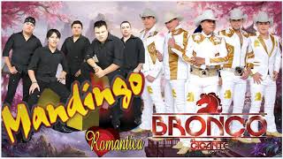 30 GRANDES EXITOS ROMANTICOS DE GRUPO MANDINGO GRUPO BRONCO  ALBUM NUEVO 2021 [upl. by Derrik556]