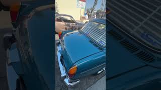 1966 VW notchback German  Right hand steering Wheel l Car show in California shorts car vw [upl. by Anizor]