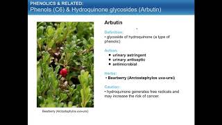 Bot101 Phytochemistry 2 Phenolics Part1 [upl. by Gesner]