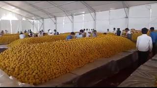 World record  The biggest bhandara  Rohtak on Kabir jayanti on 9 th june 2017 [upl. by Bluefarb]