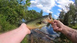 Oregon bass fishing trying everything to catch a pond bass fishing troutfishing bassfishing [upl. by Tirzah]