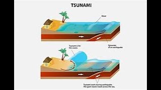 Tsunami Facts for Kids What is TSUNAMI [upl. by Nylsirhc133]