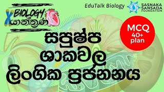 සපුෂ්ප ශාකවල ලිංගික ප්‍රජනනය  Sexual Reproduction of Flowering Plants  EduTalk Biology [upl. by Ayikaz602]