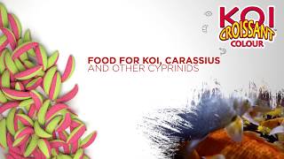 Special food for pond  Koi Croissant Colour [upl. by Firooc]