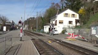 BLT Baselland Transport Schindler Be 48 und Stadler Be 610 Tagno auf der Linie 10 [upl. by Ecinue]