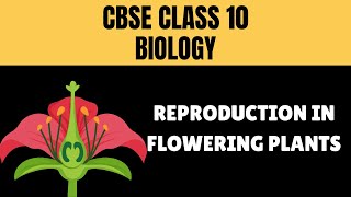 CBSE  Class 10  Biology  Reproduction in Flowering Plants [upl. by Nnylorac]