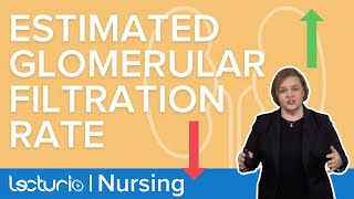 How Estimated Glomerular Filtration Rate eGFR Relates to Kidney Function  Lecturio Nursing [upl. by Areip753]