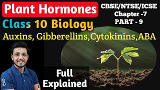 Plant Hormones  Movement due to growth  Control and coordination  Class 10 Biology [upl. by Riki]