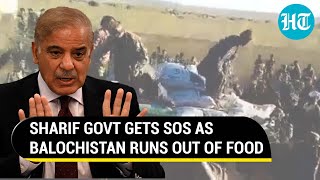 Pak starving Balochistan Sharif govt gets SOS as Baloch residents fight for wheat  Watch [upl. by Merritt]