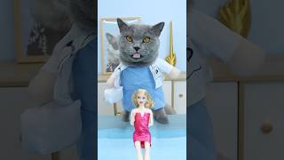 Help🥺 Can Dr Oscar Magically Heal The Broken Doll🩹🎀 catvideo catmemes trending [upl. by Amand]