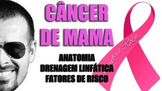 Câncer de mama Anatomia drenagem linfática e fatores de risco  Outubro Rosa  VídeoAula 087 [upl. by Oninotna457]