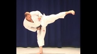 Shotokan Karate Brown Belt Kicking Combination 1 [upl. by Anigal]