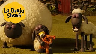 La Oveja Shaun 🐑 Ovejas dormidas 🐑 Dibujos animados para niños [upl. by Osnofedli480]