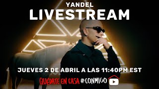 YANDEL  LIVESTREAM [upl. by Aetnahc]