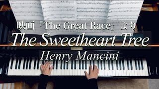 The Sweetheart Tree Henry Mancini 映画『The Great Race』よりヘンリー•マンシーニPiano [upl. by Charmion]