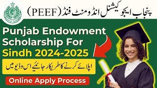 How To Apply Online For PEEF Scholarship 2024  PEEF Scholarship For Sindh Province  PEEF Form [upl. by Margo]