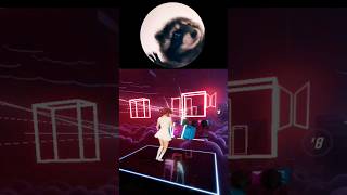 PEDRO PEDRO PEDRO RACCOON DANCE BEAT SABER VR TikTok Songs Mixed Reality Quest 3 [upl. by Leimaj]