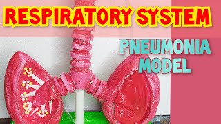 working model of respiratory system  pneumonia [upl. by Akived]