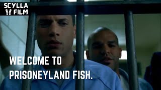 Welcome to Prisoneyland Fish  Prison Break S01E01 [upl. by Undry704]