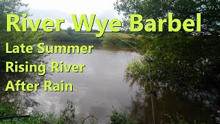 River Wye Barbel [upl. by Celia]