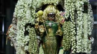 Manickanachi Amman Devotional Song  Manickamay Manickamay [upl. by Dawaj674]