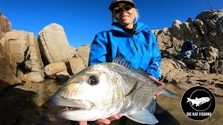 Galjoen Fishing Session took an unexpected turn [upl. by Bonneau]