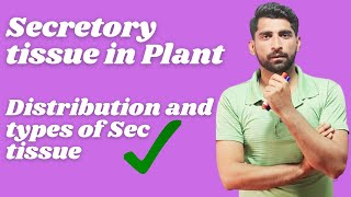 External Secretory tissue Plant Anatomy amp Morphology by Mushtaq Saqib [upl. by Wynny]