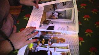 Looking in a magazine requested ASMR p 1 [upl. by Je]