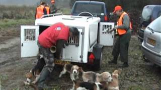 chasse aux chevreuils a bénesse maremne [upl. by Aihk]