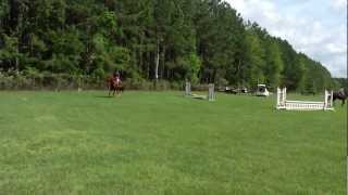 Warm Up WHA 201112 Hunter Jumper Series Walk Trot Canter Cross Rails Class [upl. by Ynnek817]